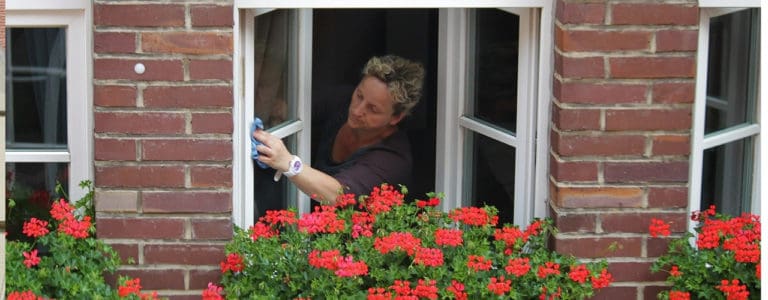 Woman Cleaning Window