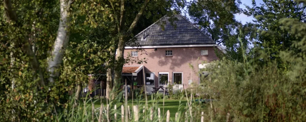 The back door of a brick house surrounded by trees and tall grass