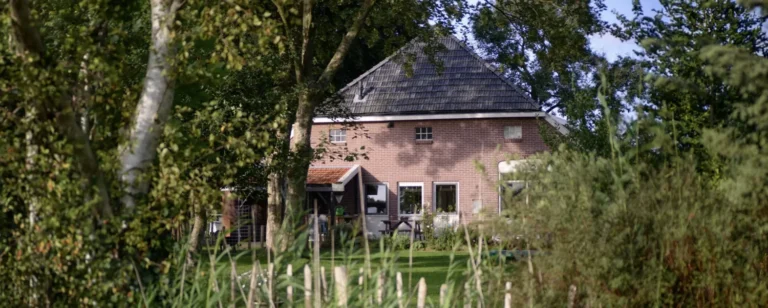 The back door of a brick house surrounded by trees and tall grass